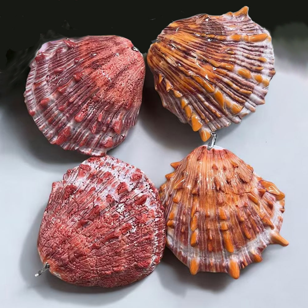 Spiny Oyster Shell: Seaborne Spectacle by Everest Devine – Rainbow ...
