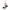 Mary Frances Sound Wave Musical Melody Charm