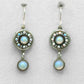 Firefly La Dolce Vita Circle Earrings with Dangle - Snow
