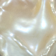 Pearl Jewelry