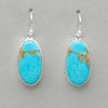 Turquoise Oval Earrings