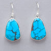 Acleoni Prince Turquoise Earrings