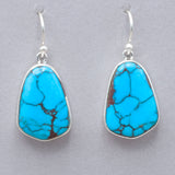 Acleoni Prince Turquoise Earrings