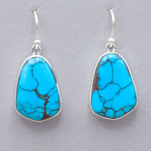 Acleoni Prince Turquoise Earrings