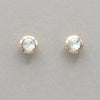 Italgem White CZ Stainless Steel Stud Earrings